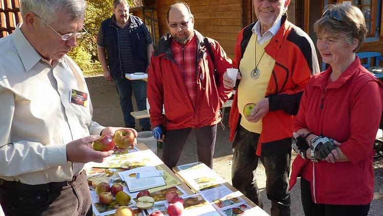 Der ehemalige Kreisvorsitzende Ernst Knobloch steht am Sonntag für die Sortenbestimmung der Äpfel gerne zur Verfügung. Foto:Gerd Fleischmann