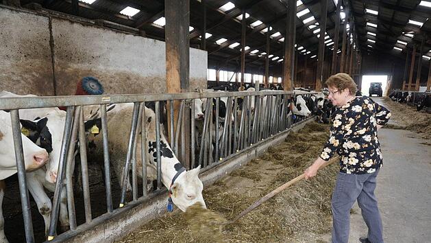 Rita J&ouml;rg liebt es bei den K&uuml;hen im Stall zu sein. Da gibt es dann schon  auch mal eine Gabel Futter extra. Foto: Marion Eckert