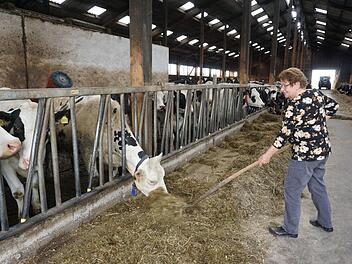 Rita Jörg liebt es bei den Kühen im Stall zu sein. Da gibt es dann schon  auch mal eine Gabel Futter extra. Foto: Marion Eckert