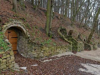 Die Unterhaider Kellergasse einmal von oben. Die Gruppe steht vor dem "Grünen Klassenzimmer". Foto: Ronald Rinklef