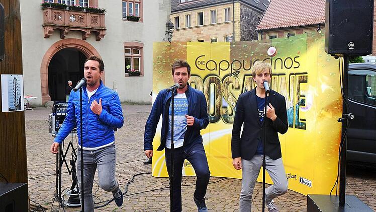 Schlagergruppe "Cappuccinos" in Hammelburg. Foto: Gerd Schaar