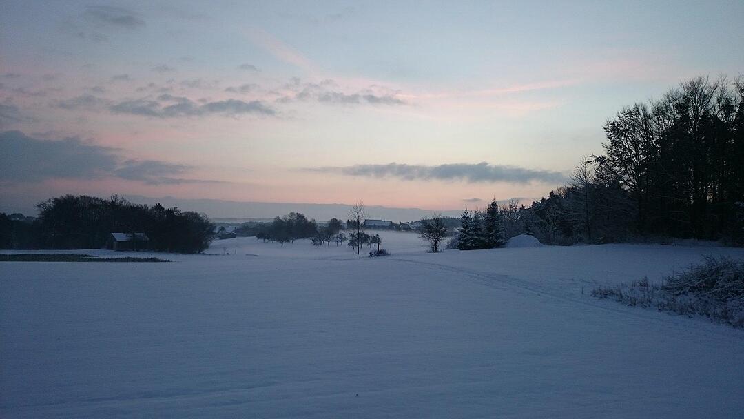 Schnee und Eis - Die schönsten Aufnahmen aus Franken