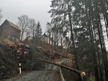 Auf der Straße nach Wellesberg hat eine Fichte die Straße versperrt.  Foto: Jürgen Kremer