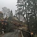 Auf der Straße nach Wellesberg hat eine Fichte die Straße versperrt.  Foto: Jürgen Kremer