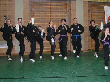 Die Karatekas bei einer gemeinschaftlichen Übung