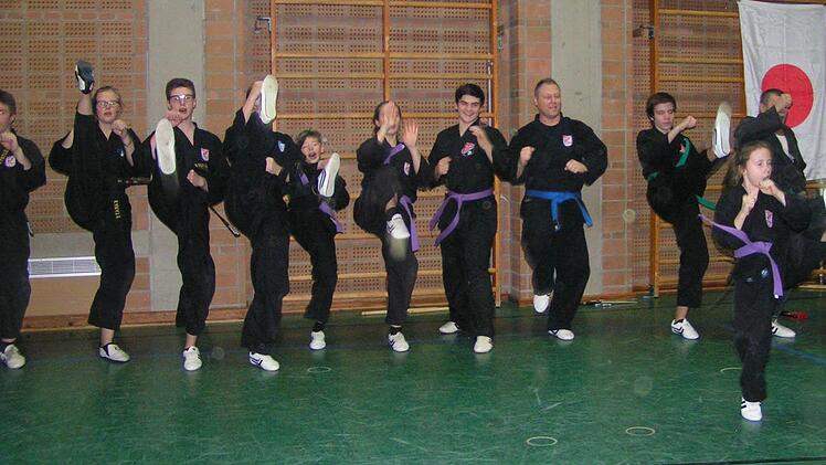 Die Karatekas bei einer gemeinschaftlichen Übung