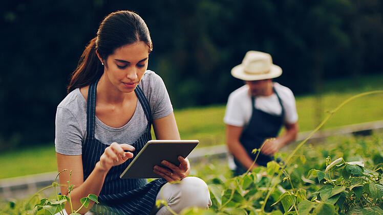 Garten, Smart Gardening