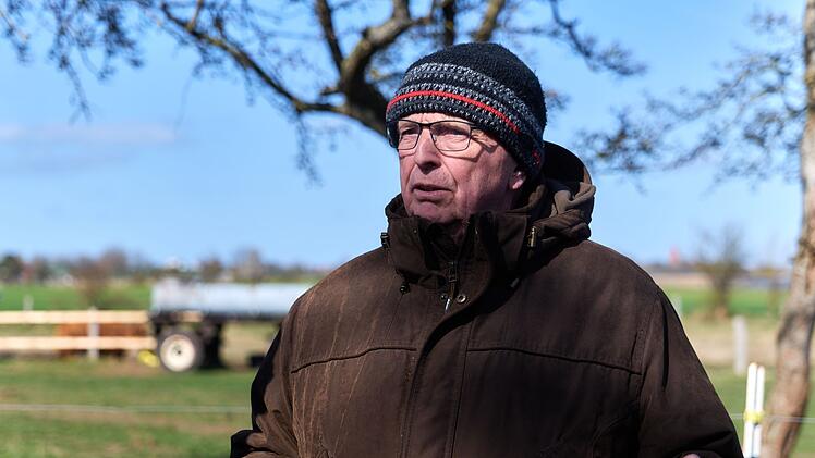 Buckelwal liegt weiter in Wismarbucht