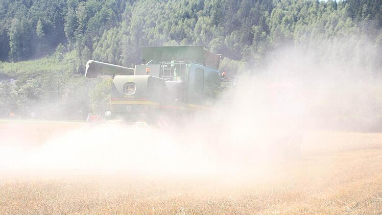 In der dichten Staubwolke ist der Mähdrescher fast nicht zu erkennen.  Foto: Friedwald Schedel