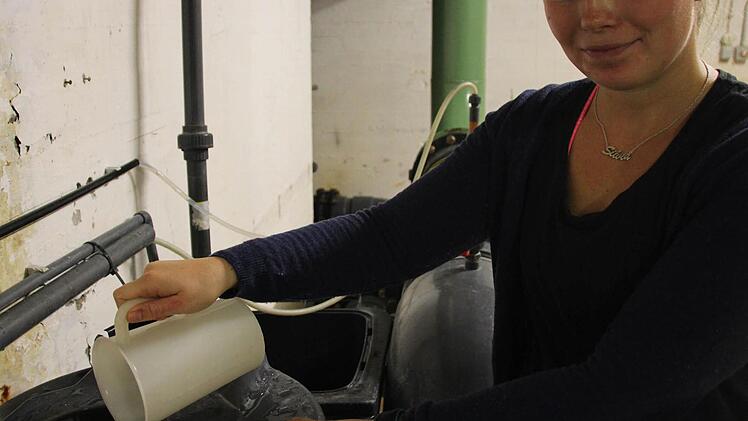 Per Hand gibt Silvia Griebel Flockmittel zur Wasseraufbereitungin das Schwimmwasser. Foto: Benedikt Borst
