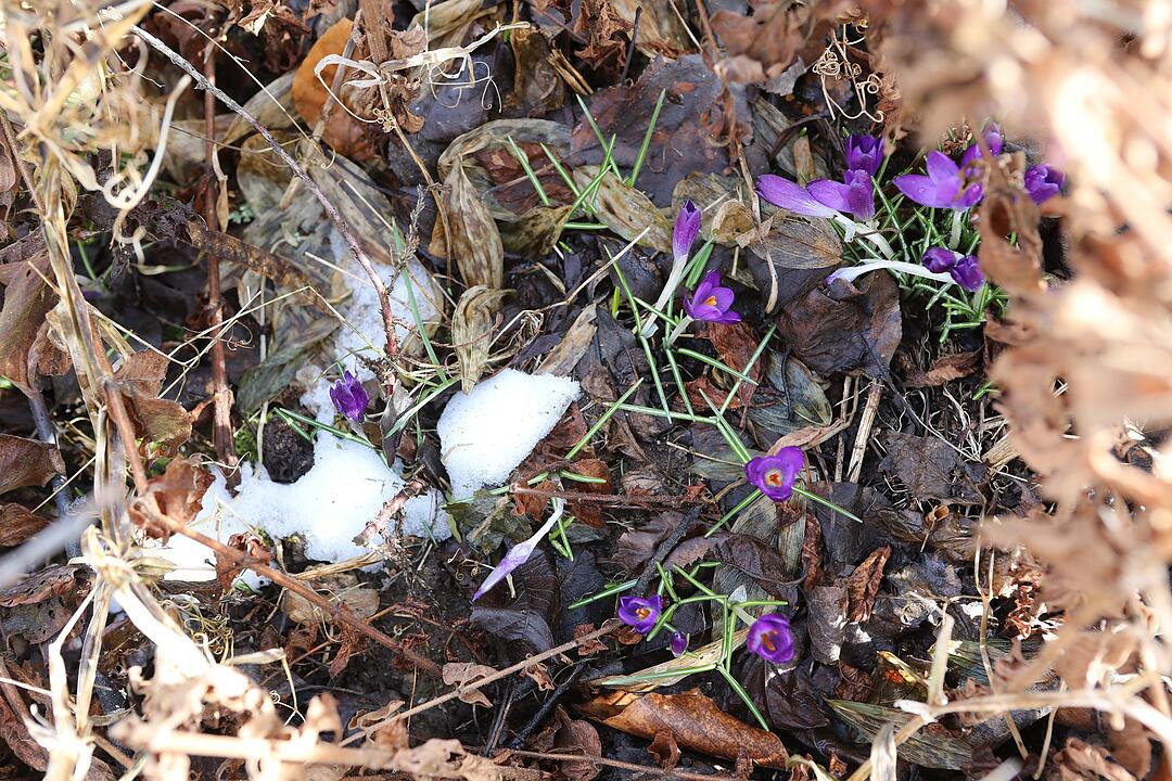 Frühling in Franken: Das Leben erwacht