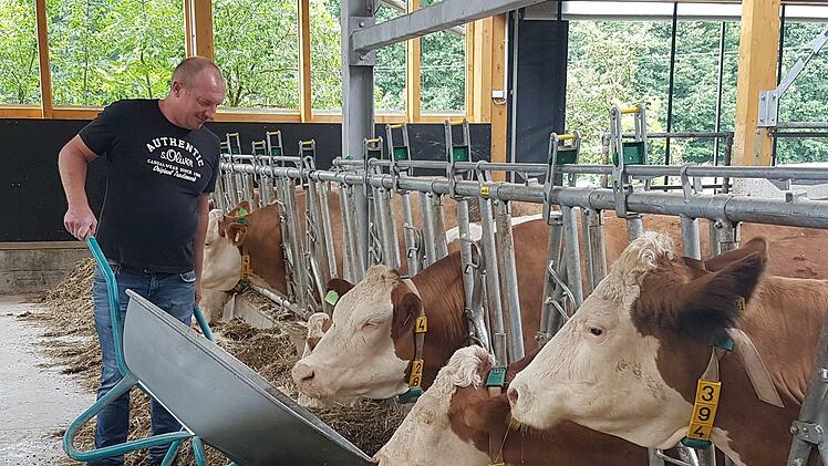 Harald Groppweiß füttert die Milchkühe.