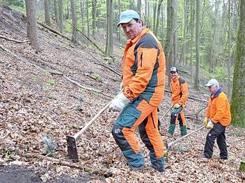 Lutz Muster, Christian Völk und Matthias Deuerling (von links) pflanzen junge Tannen unter einen Buchenbestand auf einer Fläche des Forstbetriebs Coburg der Bayerischen Staatsforsten. Fotos: Rainer Lutz