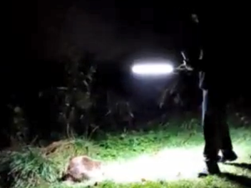 Zapfendorf: Meike und Kai konnten einen Biber aus n&auml;chster N&auml;he beobachten und ihn filmen