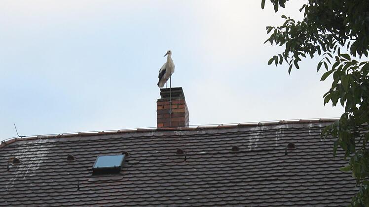 Foto: Heinrich Kattenbeck