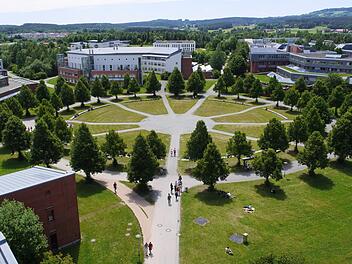 Bayreuth: Warum Baumblätter wichtig für Vorhersagen zum CO2-Kreislauf sind - große Studie klärt auf