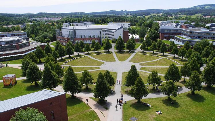 Bayreuth: Warum Baumbl&auml;tter wichtig f&uuml;r Vorhersagen zum CO2-Kreislauf sind - gro&szlig;e Studie kl&auml;rt auf