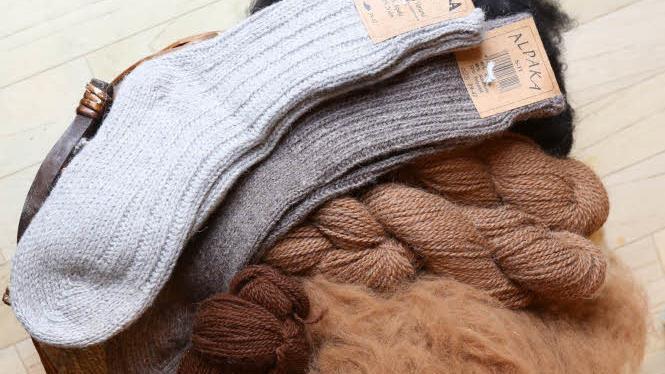Auch Socken lassen sich mit Alpaka-Wolle stricken.