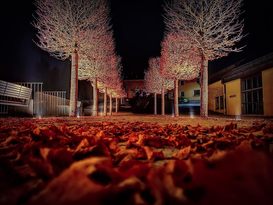 Die schönsten Herbstfotos aus Bayreuth und Umgebung