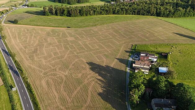 Das Maislybyrinth in M&uuml;nchberg ist jedes Jahr anders.