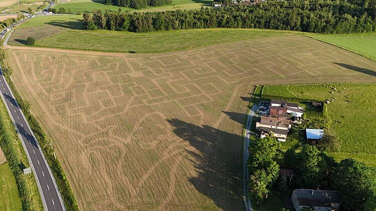 Das Maislybyrinth in M&uuml;nchberg ist jedes Jahr anders.