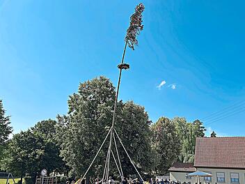 Die Aufstellung der Kerwafichte hat Tradition - und wird j&auml;hrlich von vielen Besuchern begleitet. FW Niederndorf