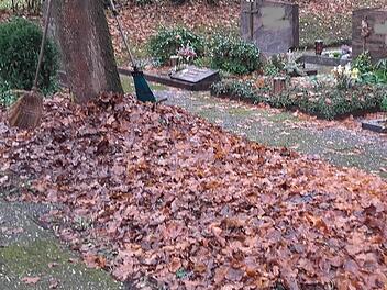 Am neuen Friedhof haben die Bäume das meiste Laub bereits abgeworfen. Foto: Susanne Deuerling