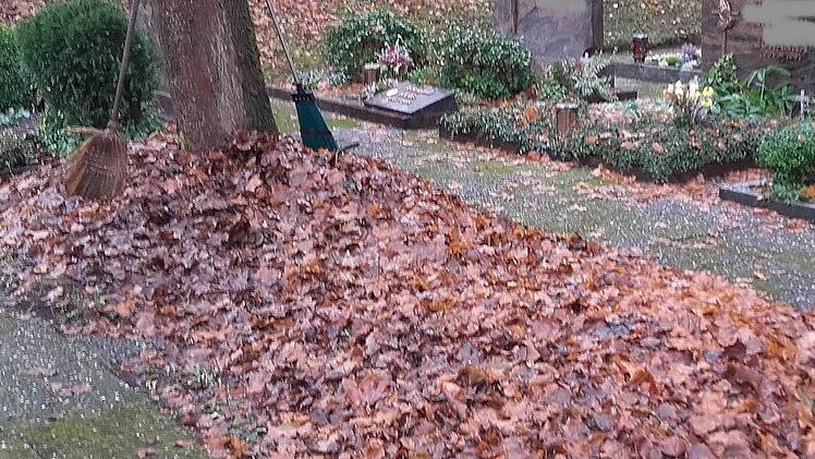 Am neuen Friedhof haben die Bäume das meiste Laub bereits abgeworfen. Foto: Susanne Deuerling