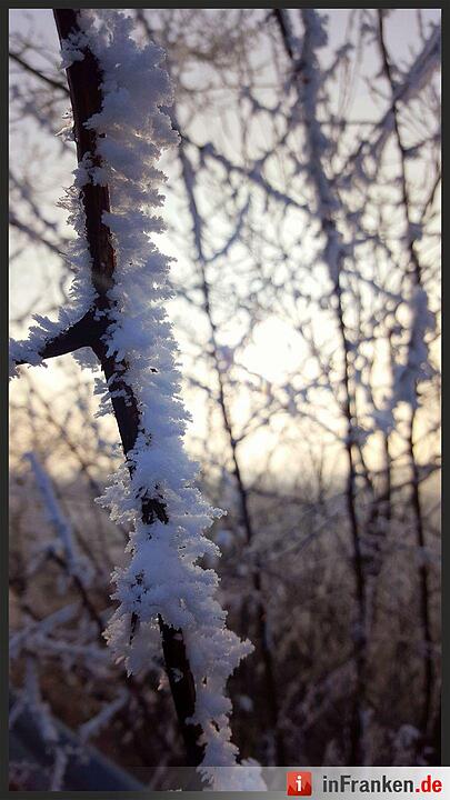 Eis und Schnee in Franken - die schönsten Winterleserfotos