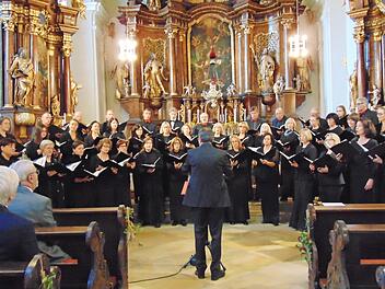 Der Weidener Kammerchor bei seinem Auftritt in Weißenohe Foto: map