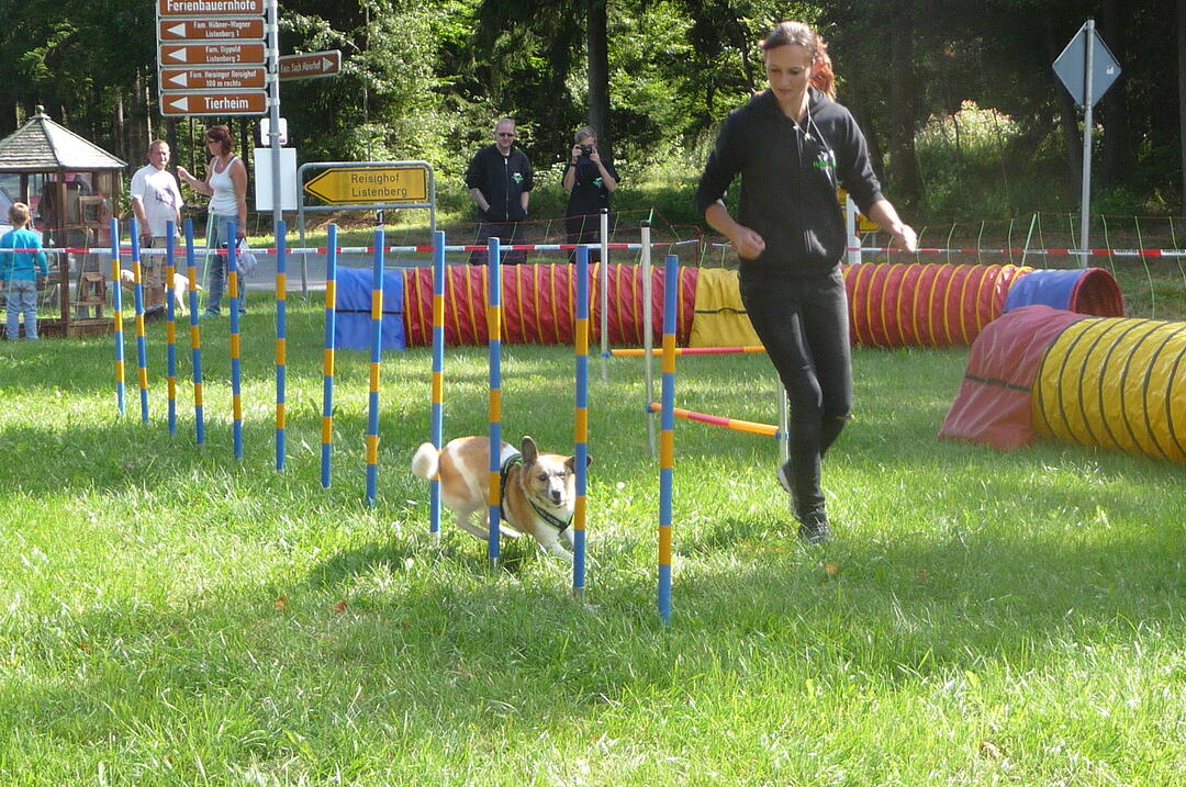 19.8.2017 Tierheimfest Kulmbach