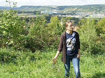 Kräuterführung mit Aussicht: Silke Blakeley erläutert die Wirkweise der Wegwarte, aus deren Wurzeln früher der "Muckefuck", der Zichorien-Kaffee hergestellt wurde.