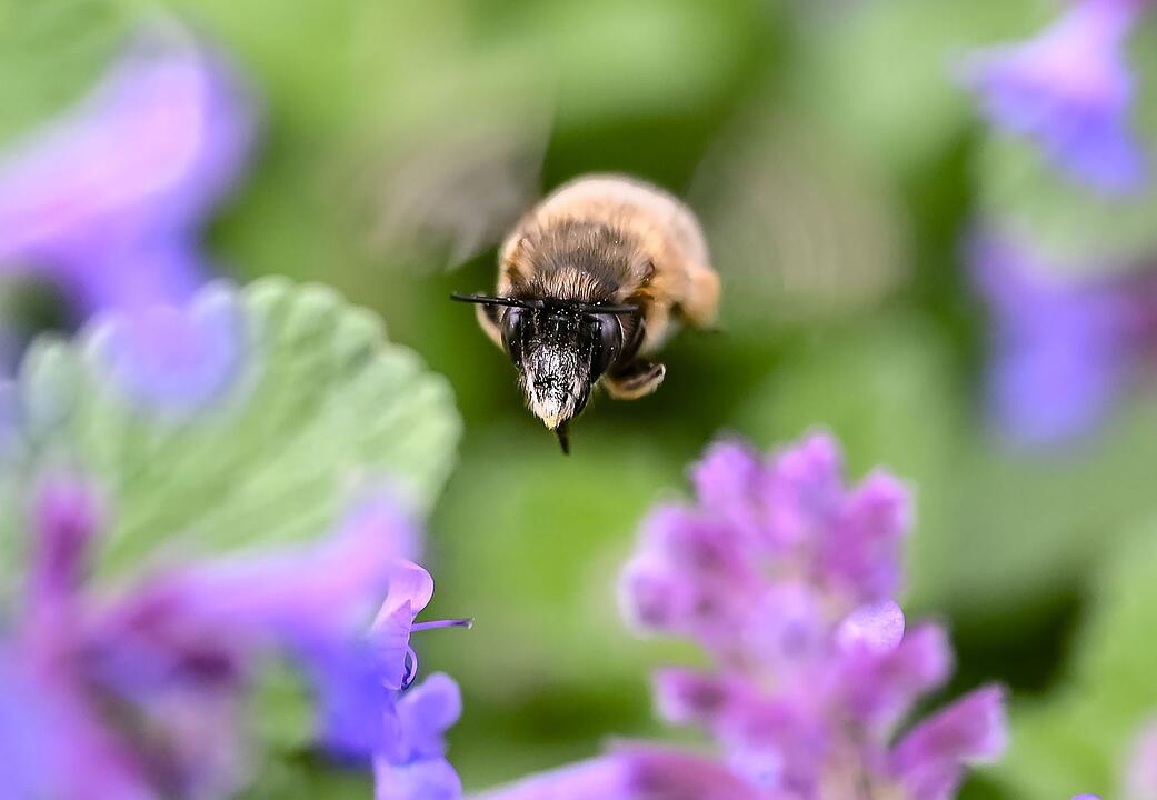 Wetter in Baden-W&uuml;rttemberg