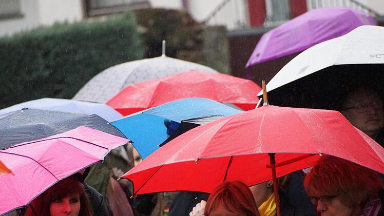 Regenschirme statt Narrenkappen beim Faschingszug in Diebach. Foto: Arkadius Guzy