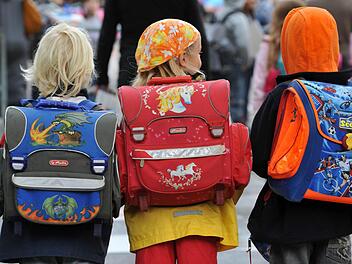Die Zahl der Grund- und Mittelschüler im Kreis Haßberge sinkt.  Foto: FT-Archiv