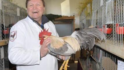 Preisrichter Reinhard Komma aus Trabelsdorf bei der Bewertung eines Rassehahns. Foto: Roland Meister