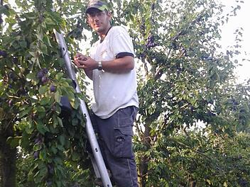 Jochen Schmidt ist die Karriereleiter im Obstbau hinaufgeklettert. Foto: p