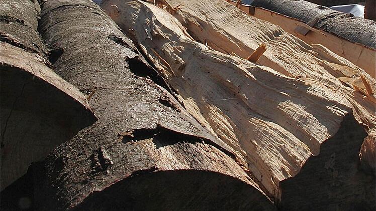 Schwartze Zahlen: Der Euerdorfer Gemeindewald warf 2013 Gewinn ab.  Foto: Gerd Schaar