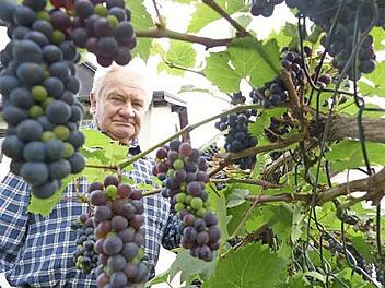 Mit Stolz präsentiert Josef Schlee seinen Rebstock. Foto: Jürgen Schlee