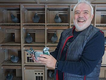 Der Oberelsbacher Paul Wethmüller ist ein begeisterter und  leidenschaftlicher Brieftaubenzüchter. Fotos: Marion Eckert