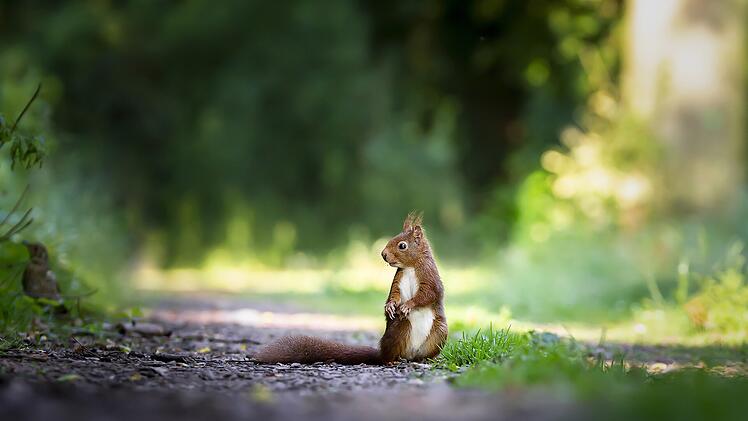 Symbolfoto: eluxirphoto/pixabay