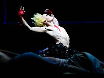 Der Phoenix (Joshua Limmer) rettet die Welt. Henning Rosenbusch