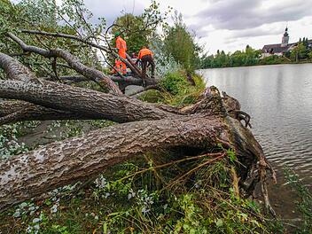 In Stadt und Landkreis das gleiche Bild: Sturm Fabienne knickte die Bäume wie Streichhölzer. Foto: Josef Hofbauer/Archiv