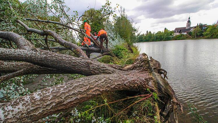 In Stadt und Landkreis das gleiche Bild: Sturm Fabienne knickte die Bäume wie Streichhölzer. Foto: Josef Hofbauer/Archiv