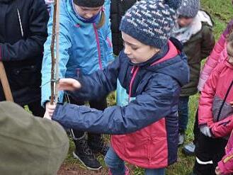 Wie pflanzt man einen Walnussbaum: Die Experten zeigten es den Drittkl&auml;ssern aus Aidhausen. Foto: Norbert Schmucker