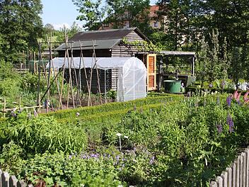 Ein Blick in den im Jahr 2000 errichteten Vereinsgarten im Jubiläumsjahr   Foto: Grams