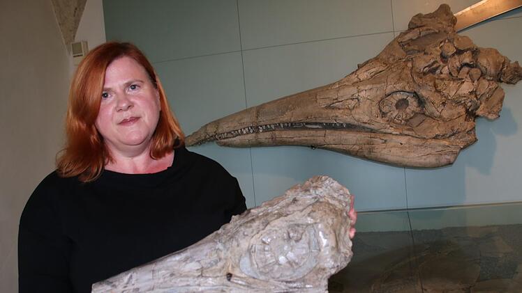 Brigitte Eichner-Grünbeck zeigt vor dem großen Fischsaurierkopf einen weiteren versteinerten Ichthyosaurus-Schädel, der sich derzeit jedoch im Depot befindet.Matthias Einwag