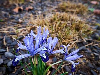 Wetter aus Rheinland-Pfalz