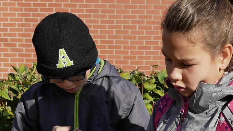 Paula probiert aus, wie das geht, wenn ein Wasserwachtler wie  Kamil Wolny (rechts) als Rettungstaucher  unter Wasser Schrauben zu packen  kriegen muss. Julian, Joel und Alexander Herr von der Jugendpflege schauen  dabei interessiert zu. Ohne Handschuhe und mit den Augen alles sehen, das  ist schon wesentlich einfacher.    Foto: Manja von Nida