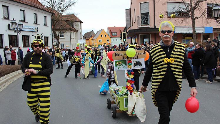 Der Faschingsumzug in Höchstadt war auch 2017 wieder sehr gut besucht. Foto: Christian Bauriedel